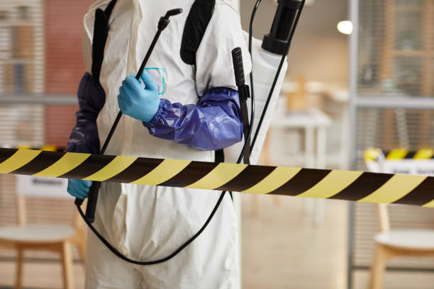 Professional Hoarding Cleanup technician working in Albany, WI